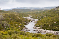Illawong Creek Walk, Guthega