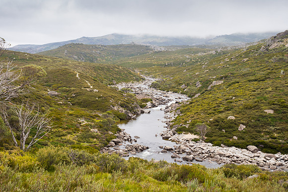 Illawong Creek Walk, Guthega