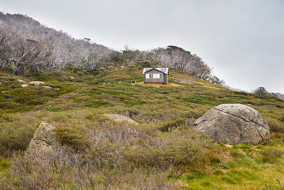 Illawong Creek Walk, Guthega