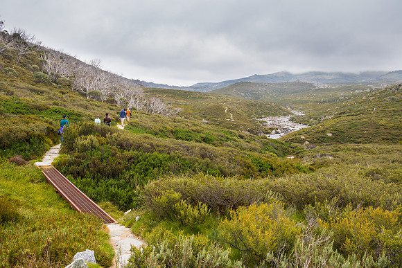 Illawong Creek Walk, Guthega