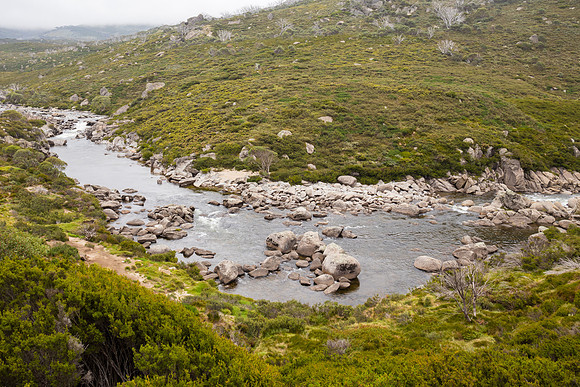 Illawong Creek Walk, Guthega