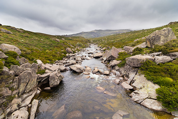 Illawong Creek Walk, Guthega