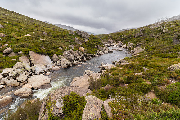 Illawong Creek Walk, Guthega