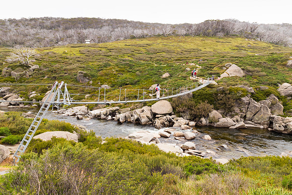 Illawong Creek Walk, Guthega