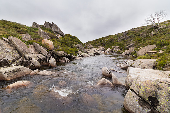 Illawong Creek Walk, Guthega