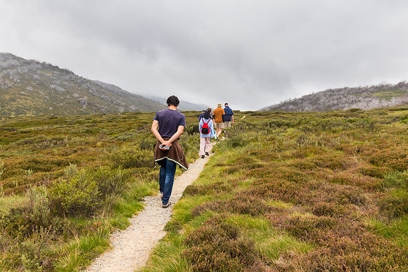 Illawong Creek Walk, Guthega