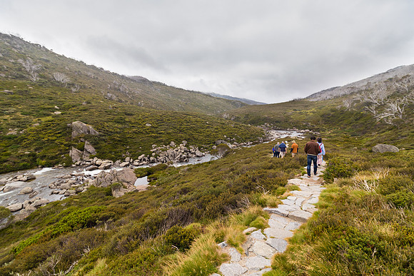 Illawong Creek Walk, Guthega