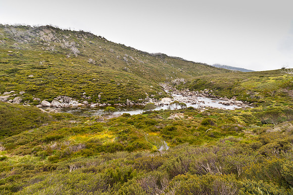 Illawong Creek Walk, Guthega