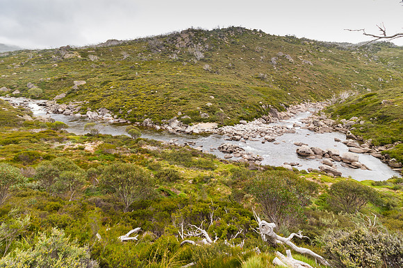 Illawong Creek Walk, Guthega