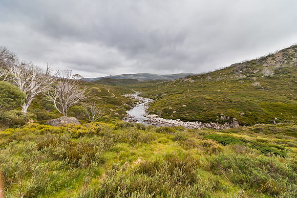 Illawong Creek Walk, Guthega