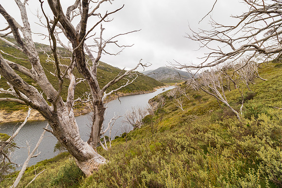 Illawong Creek Walk, Guthega