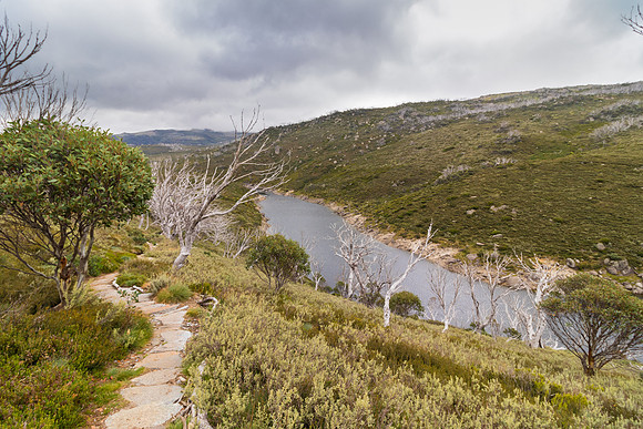 Illawong Creek Walk, Guthega