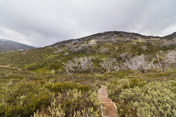 Illawong Creek Walk, Guthega