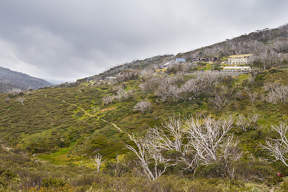 Illawong Creek Walk, Guthega