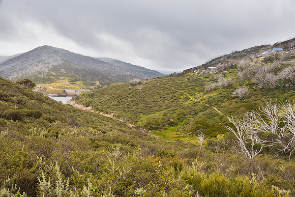Illawong Creek Walk, Guthega