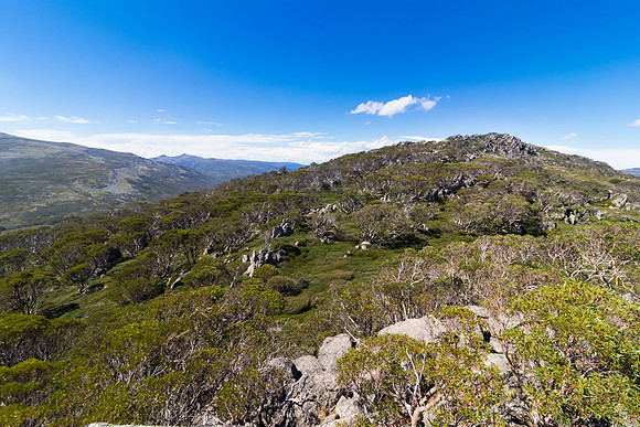 Charlottes Pass, Kosciuszko