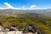 Charlottes Pass, Kosciuszko