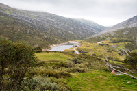 Illawong Creek Walk, Guthega