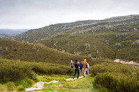 Illawong Creek Walk, Guthega