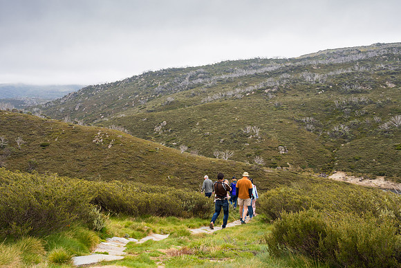 Illawong Creek Walk, Guthega
