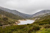 Illawong Creek Walk, Guthega