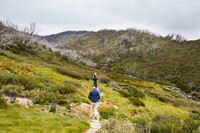 Illawong Creek Walk, Guthega