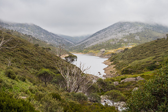 Illawong Creek Walk, Guthega