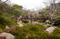Illawong Creek Walk, Guthega