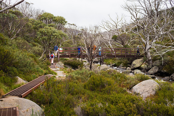 Illawong Creek Walk, Guthega