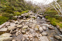 Illawong Creek Walk, Guthega