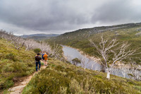 Illawong Creek Walk, Guthega