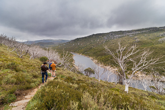 Illawong Creek Walk, Guthega