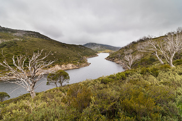 Illawong Creek Walk, Guthega