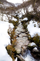 Snowy Mountains 2025