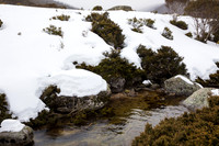 Snowy Mountains 2025