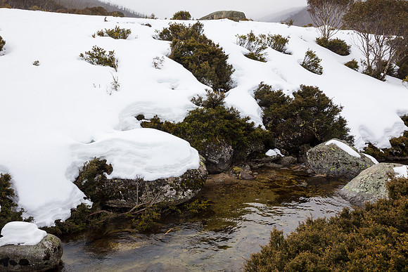 Snowy Mountains 2025