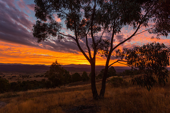Cooleman Ridge