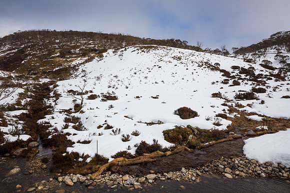 Snowy Mountains 2025