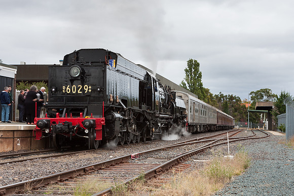 Beyer-Garratt 6029