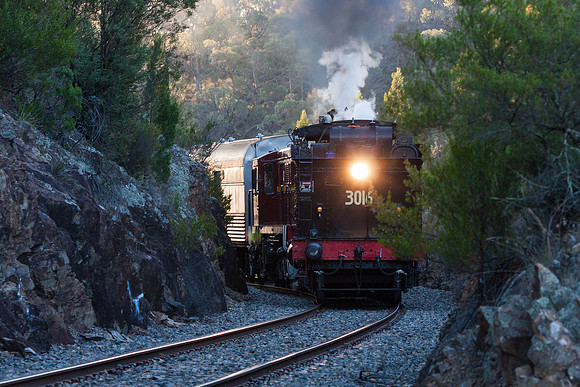 Steam loco 3016