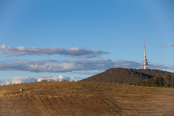 National Arboretum
