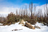Snowy Mountains 2025