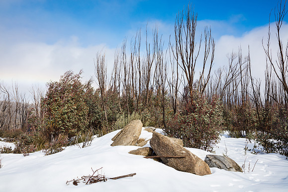 Snowy Mountains 2025