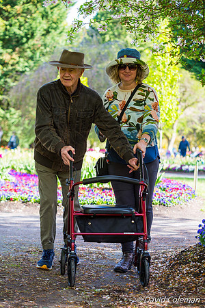 Tulip Tops Gardens 2024