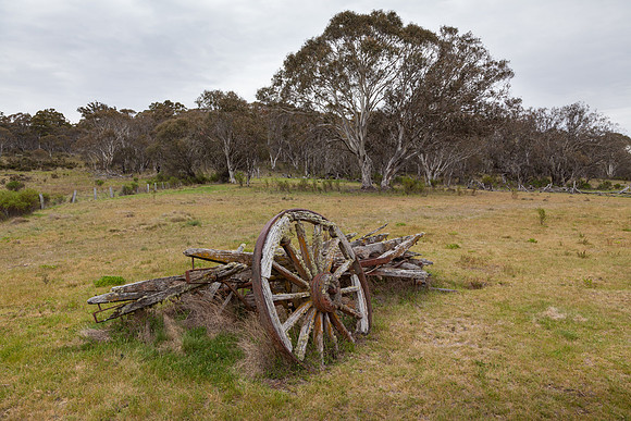 Coolamine Homestead