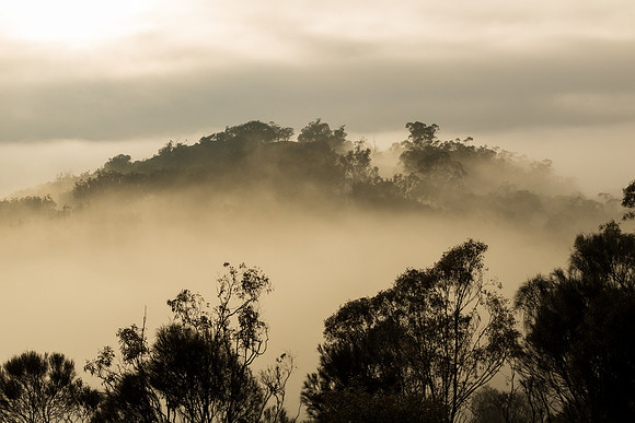 Mt Ainslie
