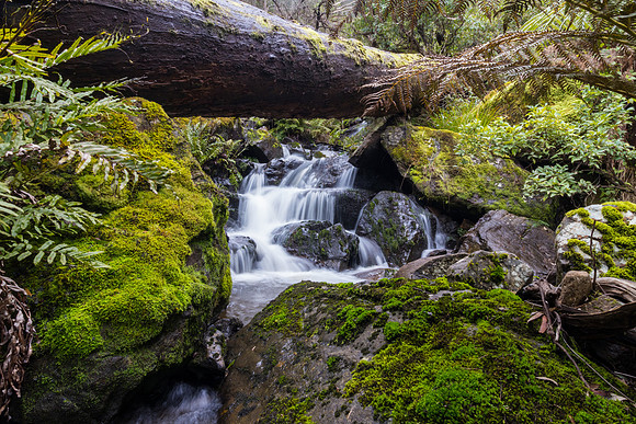Dubbo Falls