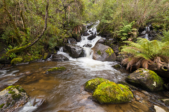 Dubbo Falls