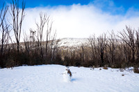 Snowy Mountains 2025