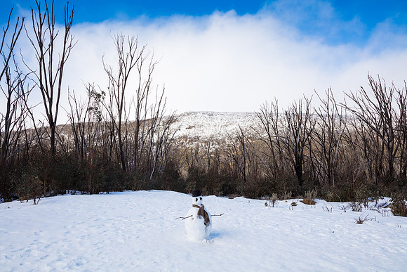 Snowy Mountains 2025